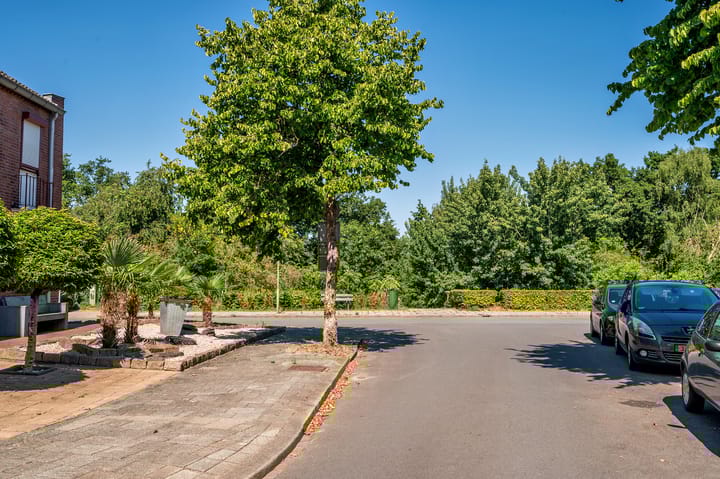 Foto 22 van Reigerstraat 3