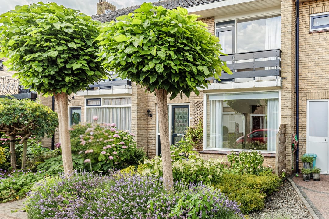 Foto 23 van Begoniastraat 34