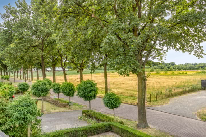 Foto 54 van Peeleik 23-A