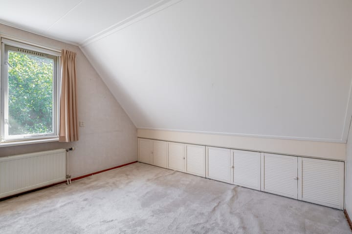 Photo 25 of Russchenreed 71