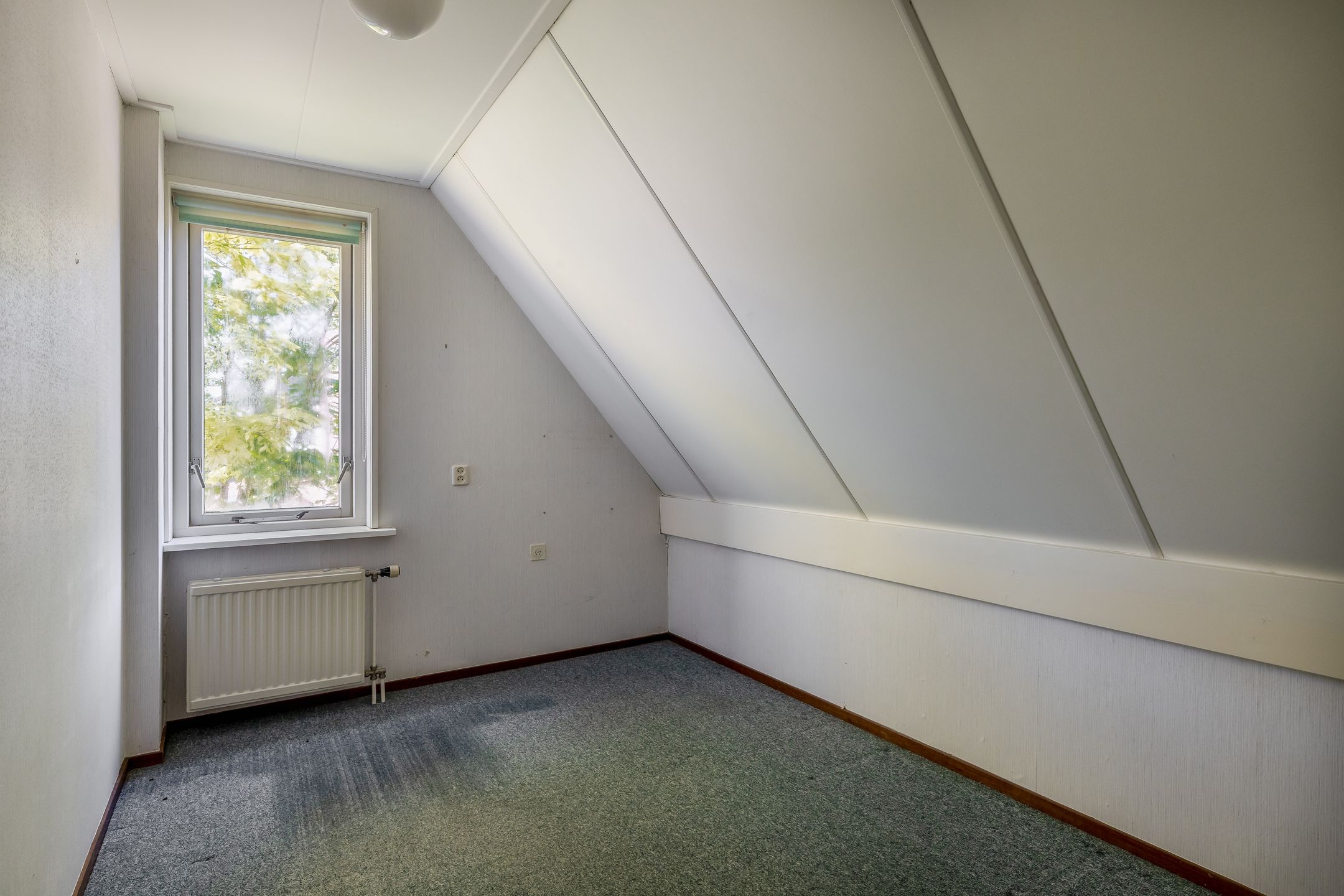 Foto 30 van Russchenreed 71