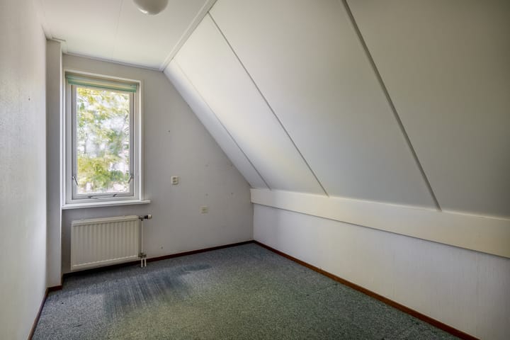 Photo 30 of Russchenreed 71