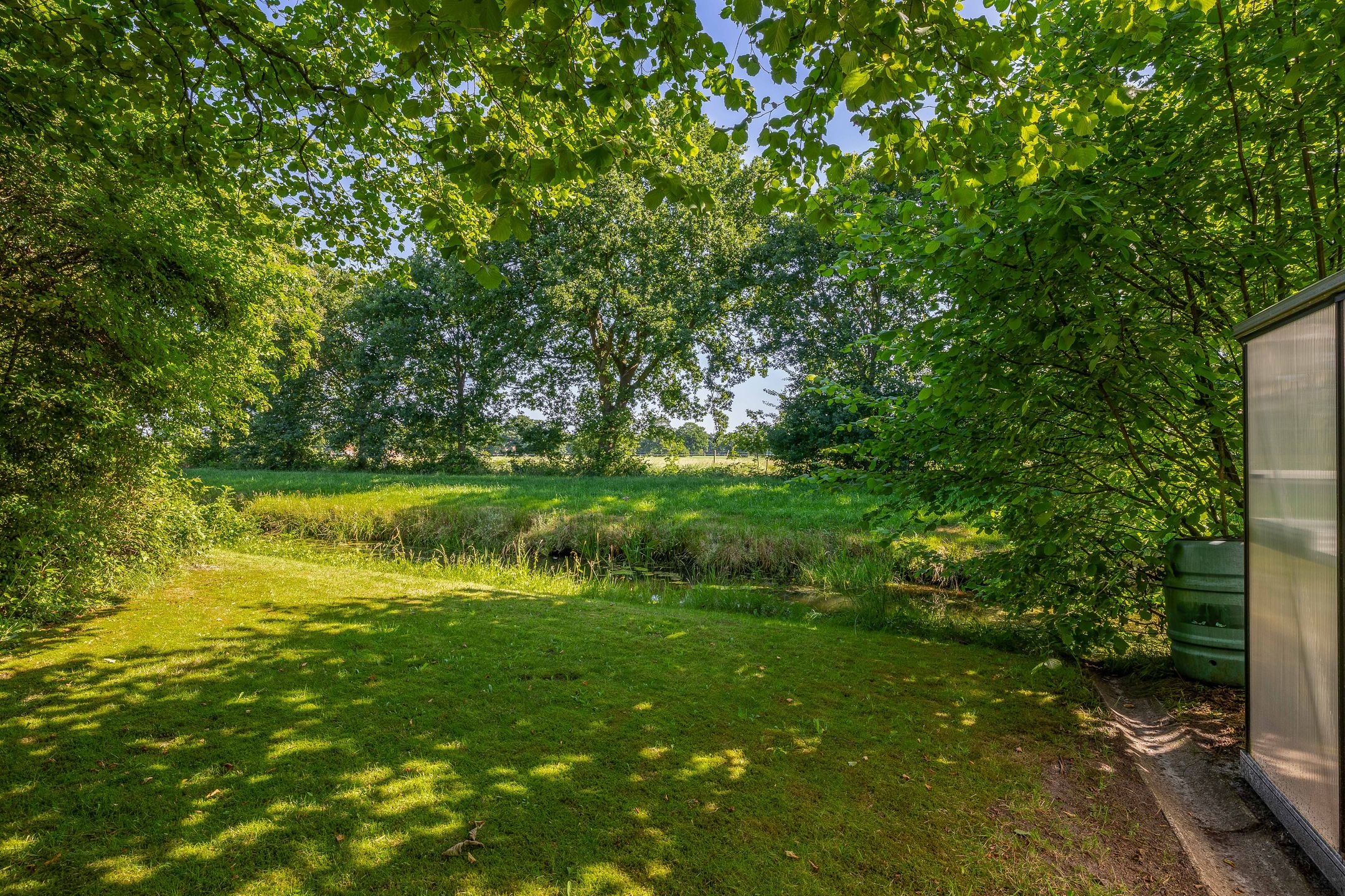 Foto 42 van Russchenreed 71