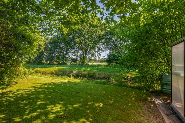 Photo 42 of Russchenreed 71