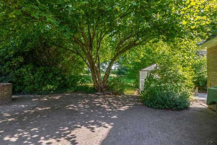 Photo 45 of Russchenreed 71