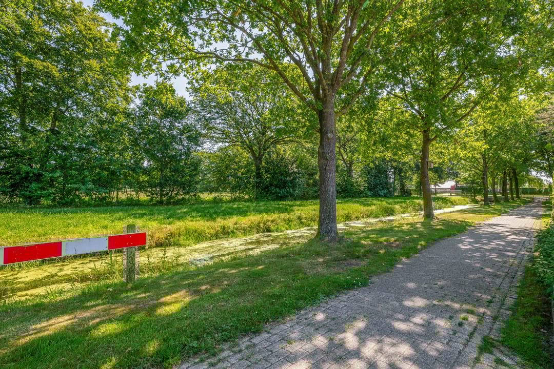 Foto 47 van Russchenreed 71