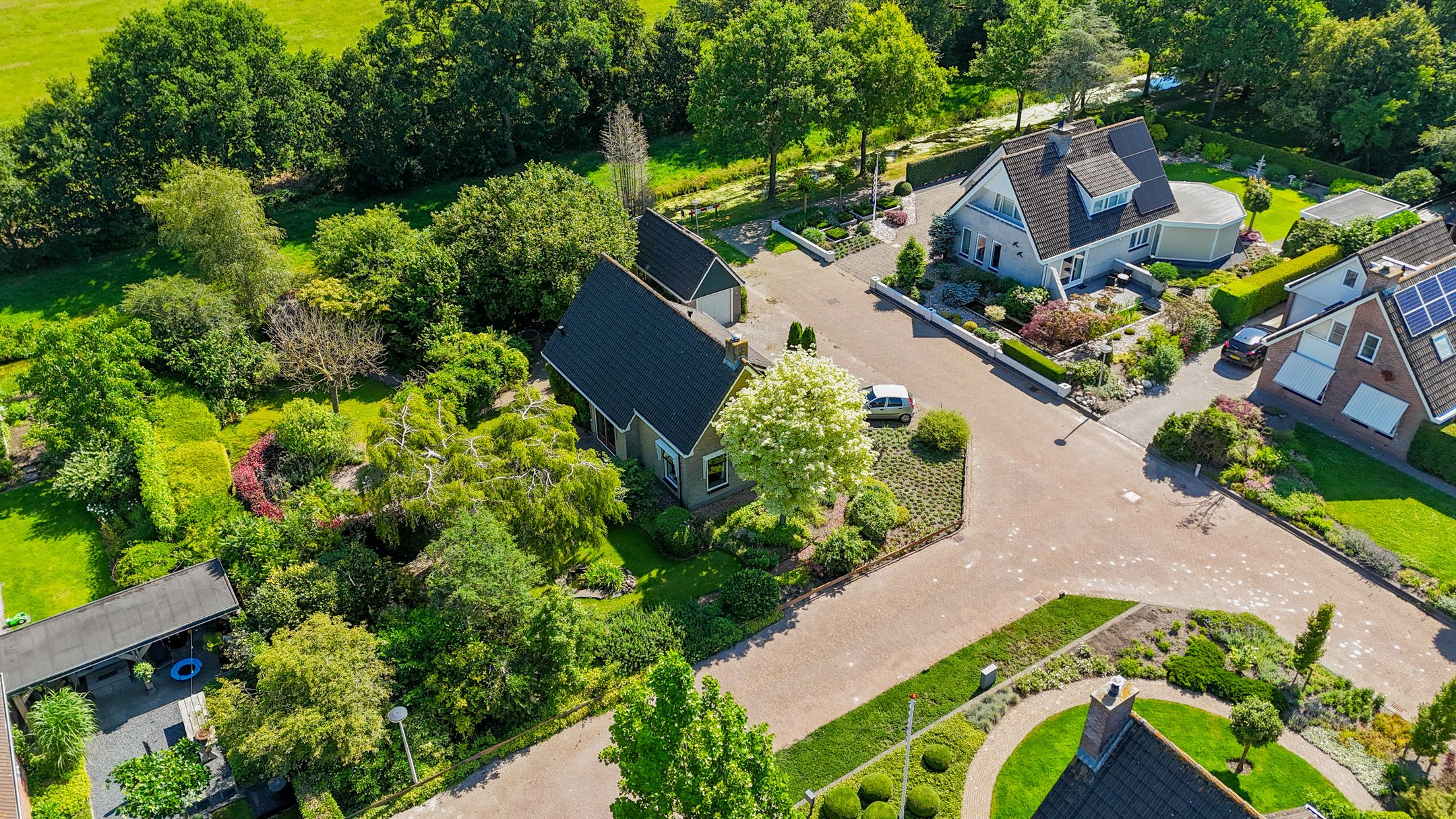 Foto 48 van Russchenreed 71