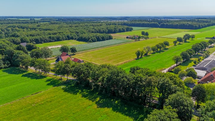 Photo 50 of Russchenreed 71