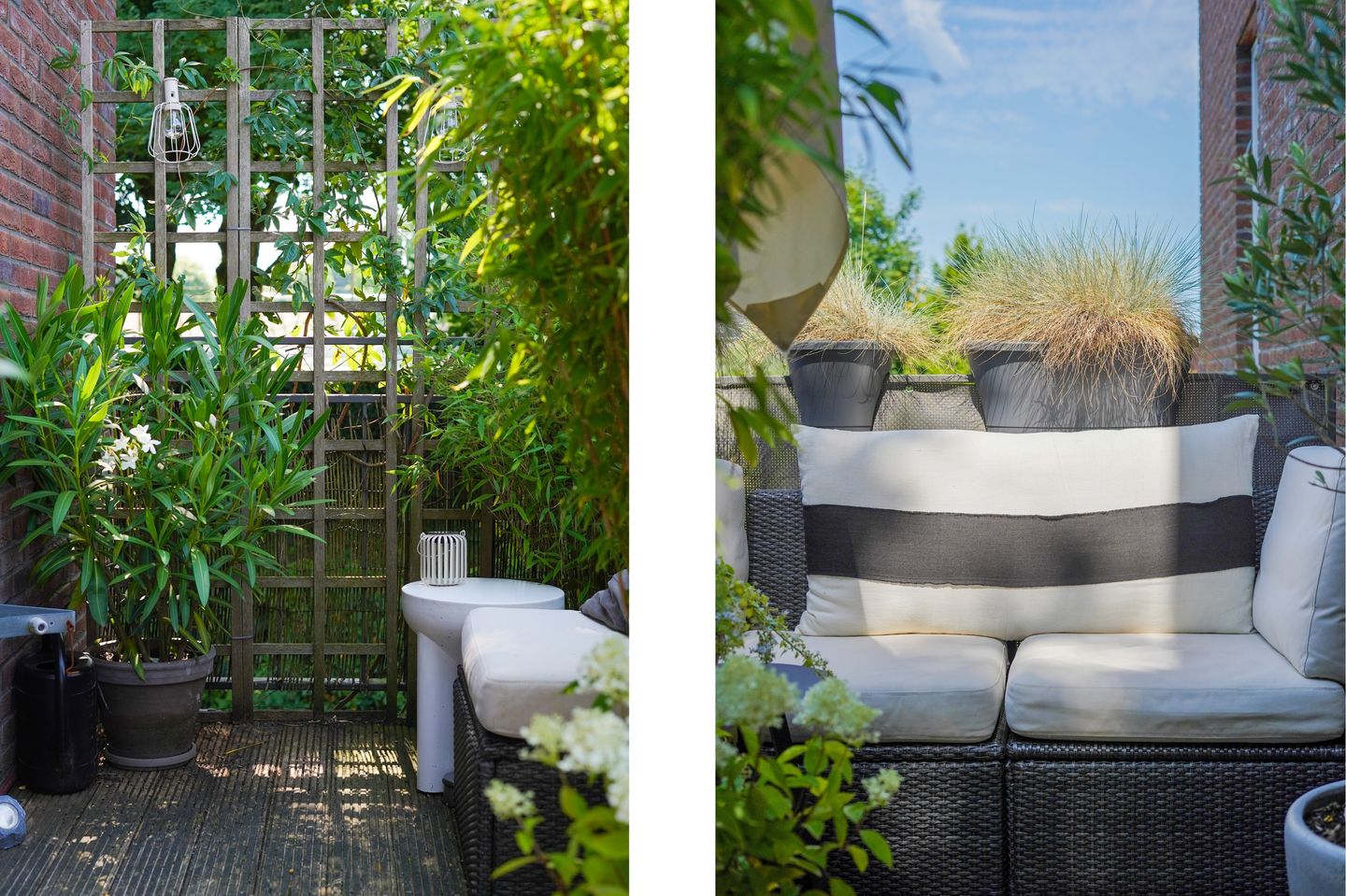 Foto 19 van Scheidiuslaan 50