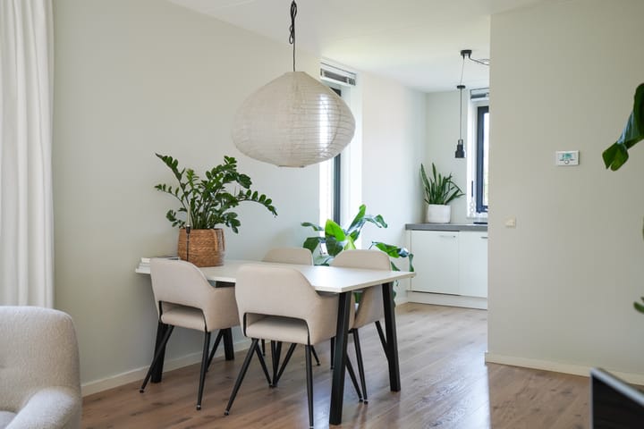 Foto 20 van Scheidiuslaan 50