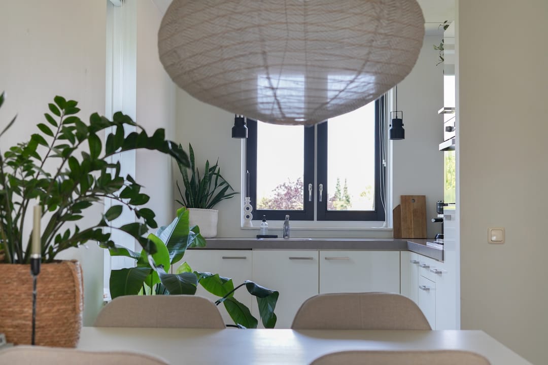 Foto 22 van Scheidiuslaan 50