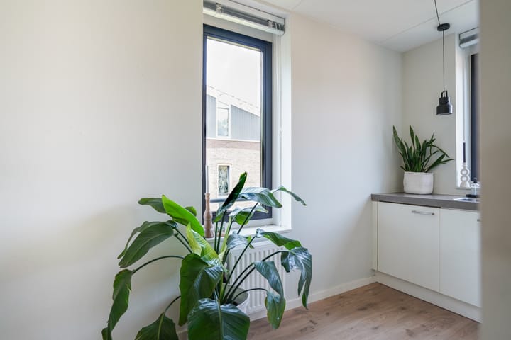 Foto 25 van Scheidiuslaan 50