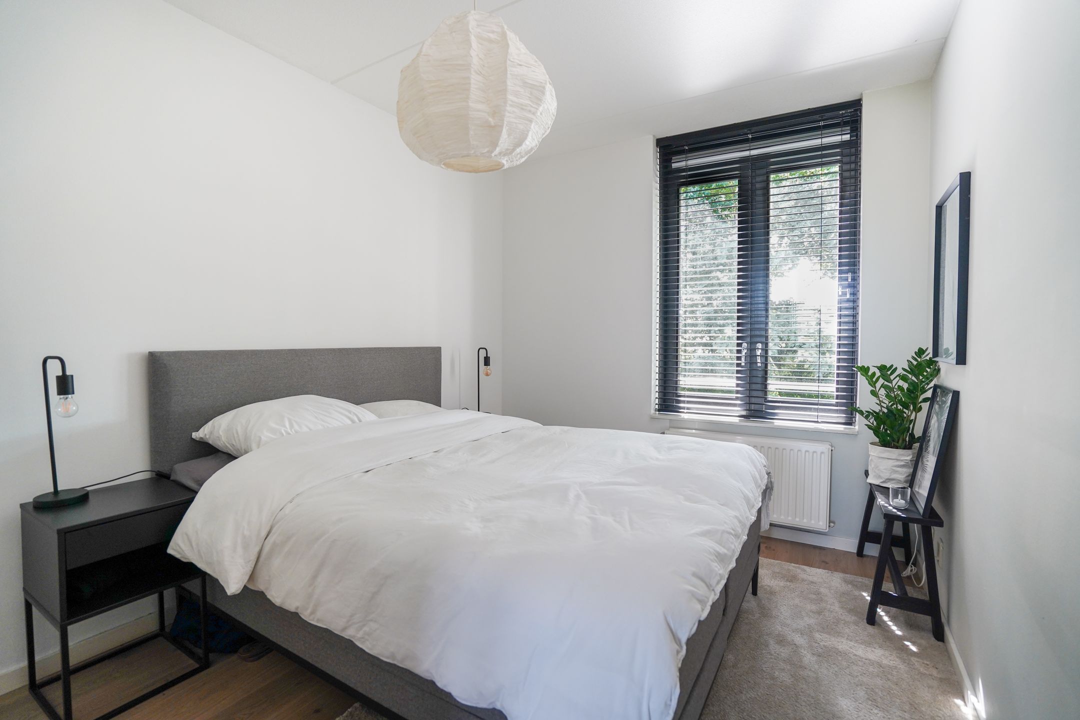 Foto 27 van Scheidiuslaan 50