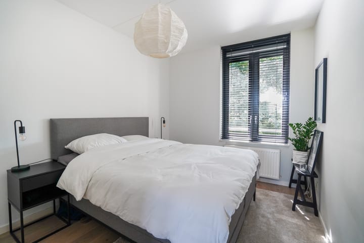 Foto 27 van Scheidiuslaan 50