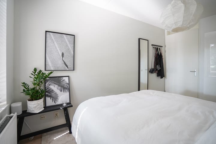 Foto 28 van Scheidiuslaan 50