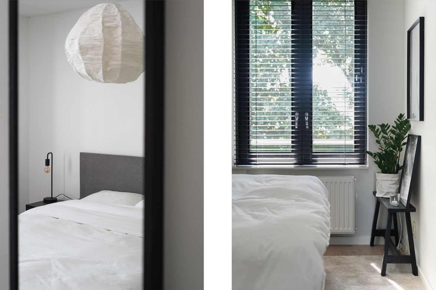 Foto 29 van Scheidiuslaan 50