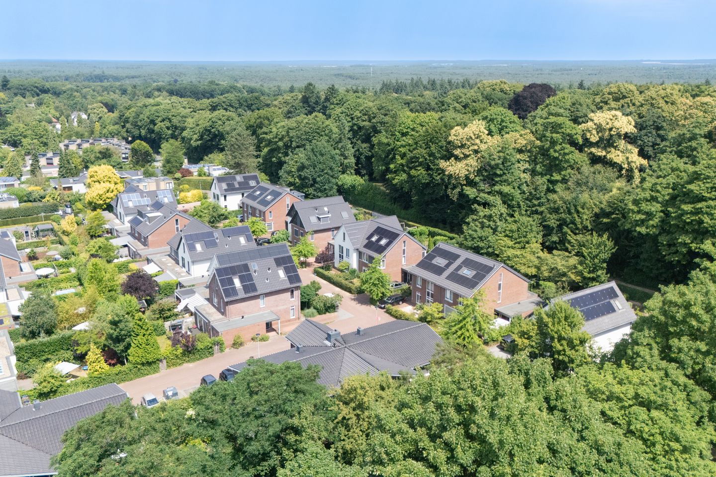 Foto 35 van Scheidiuslaan 50