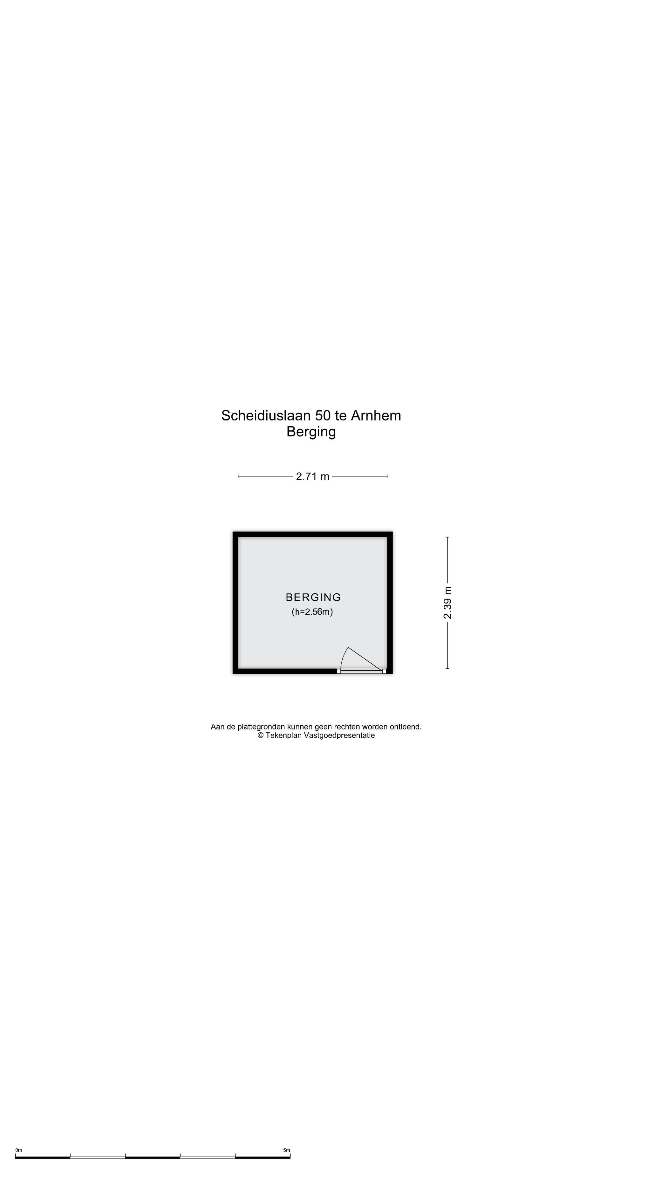 Foto 36 van Scheidiuslaan 50