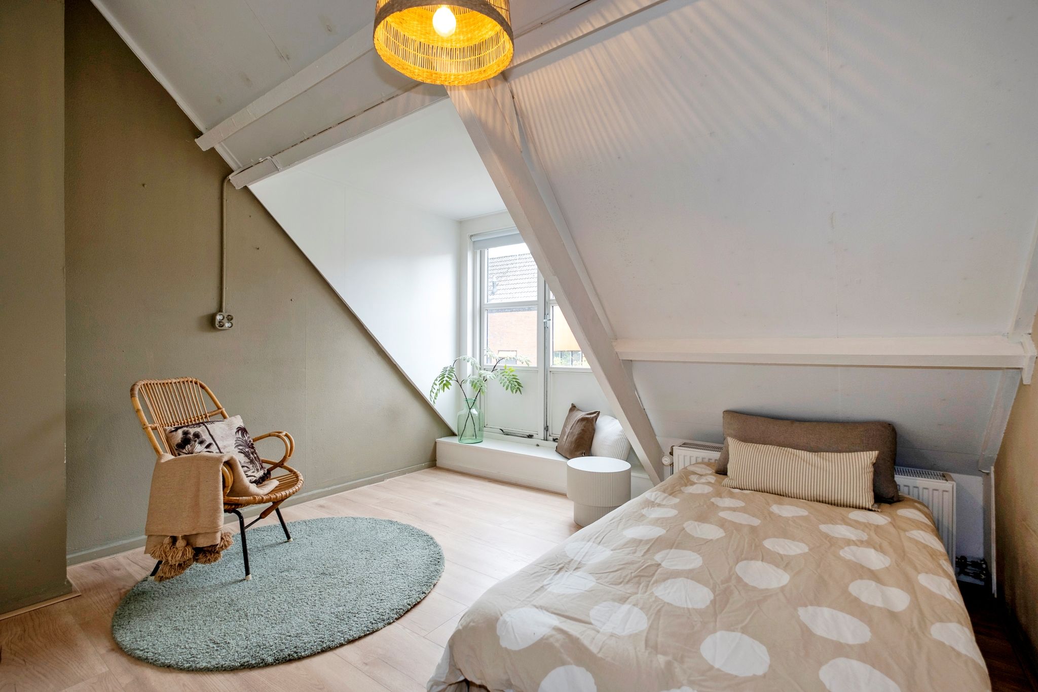 Foto 42 van Agricolastraat 41