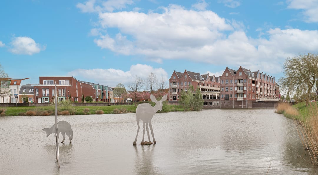 Photo 1 of Krooneend 12