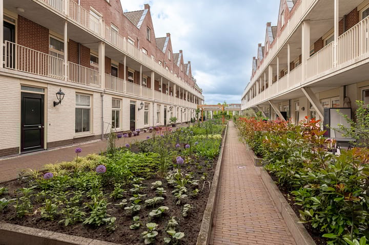 Foto 6 van Krooneend 12