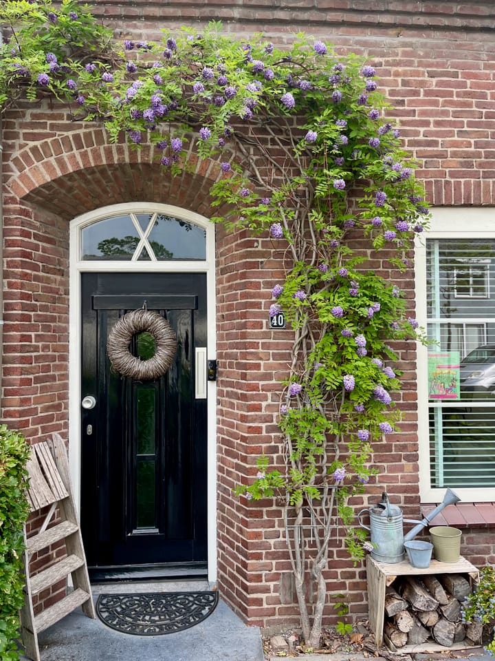 Foto 2 van Brouwerijstraat 40