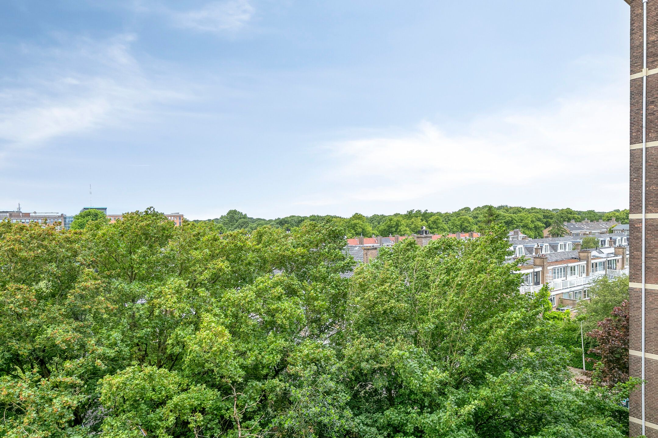 Foto 21 van Hart Nibbrigkade 71-54