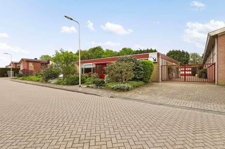 undefined main image