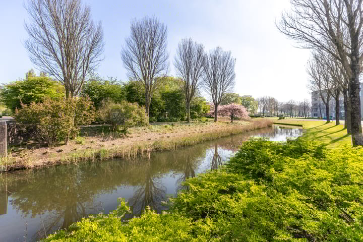 Foto 42 van Gaasterland 31