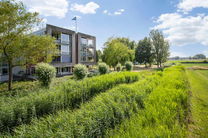 Foto 1 van Maïsveld 34