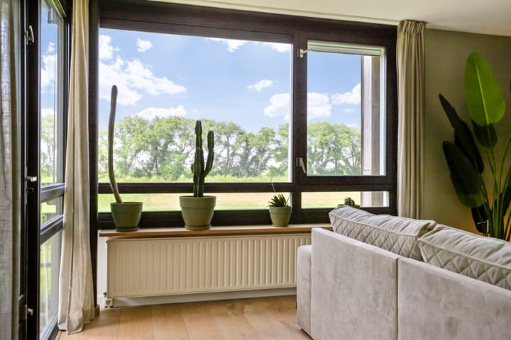 Foto 15 van Maïsveld 34