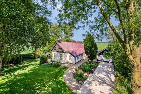 undefined main image