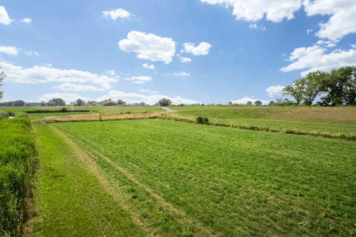 Foto 30 van Maïsveld 34