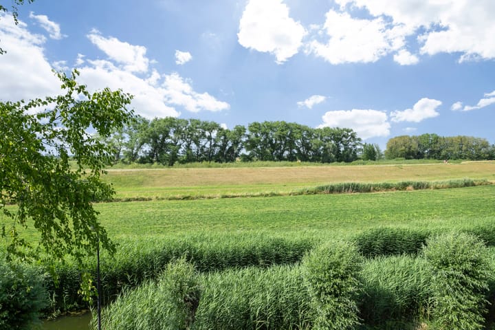 Foto 32 van Maïsveld 34