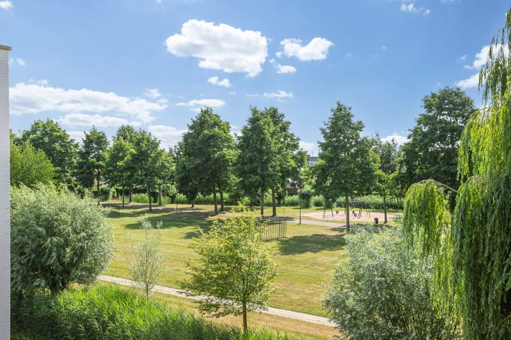 Foto 33 van Maïsveld 34