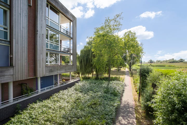 Foto 36 van Maïsveld 34