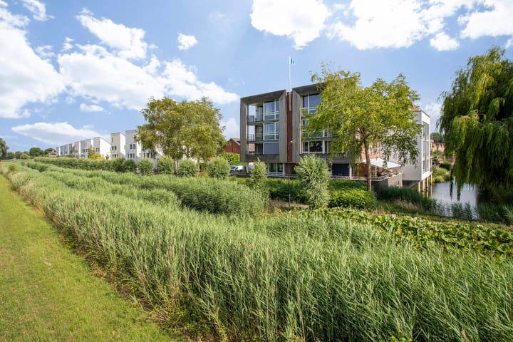 Foto 37 van Maïsveld 34