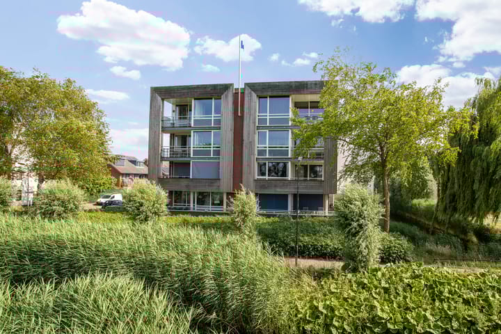 Foto 38 van Maïsveld 34