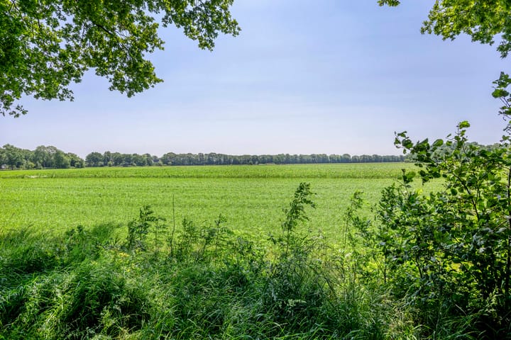 Foto 25 van Compagnonsweg 7