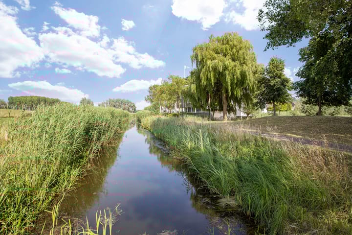 Foto 42 van Maïsveld 34