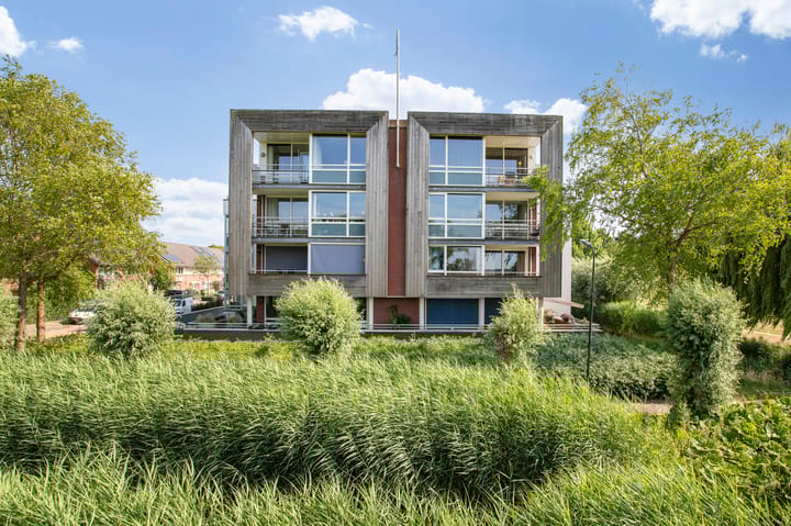 Foto 45 van Maïsveld 34