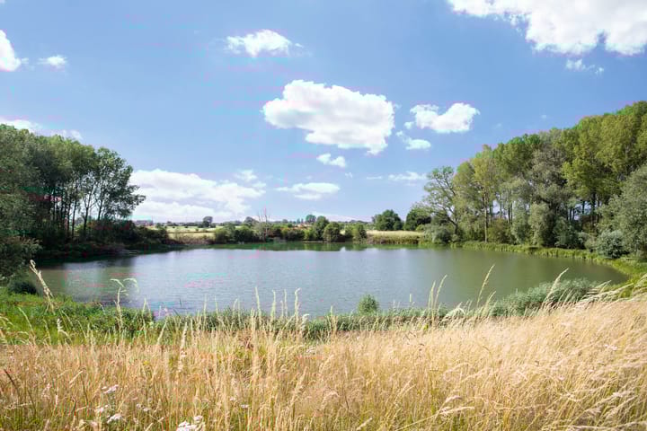 Foto 46 van Maïsveld 34