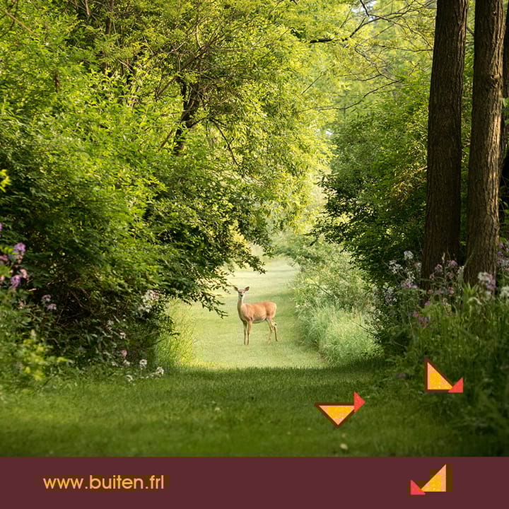 Foto 37 van Compagnonsweg 7