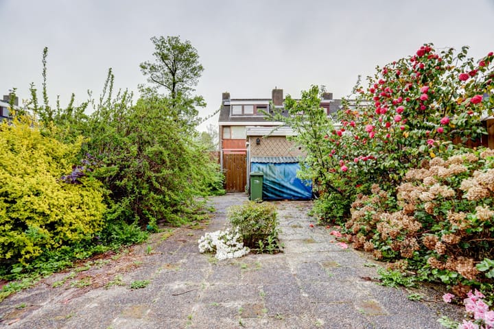 Foto 24 van Vredeman de Vriesstraat 25