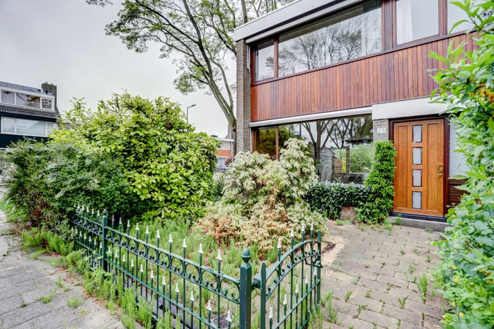 Foto 25 van Vredeman de Vriesstraat 25