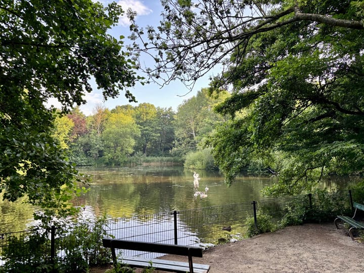 Foto 41 van Elisabeth Brugsmaweg 1-219