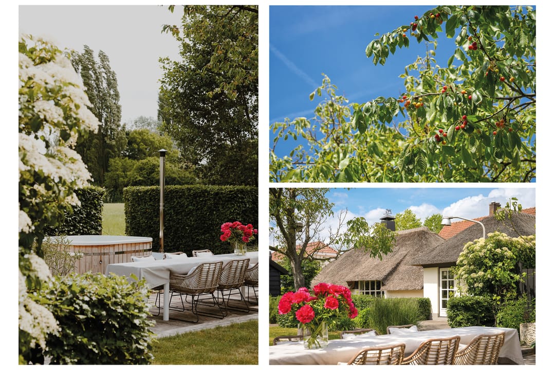 Photo 41 of Molenstraat 15