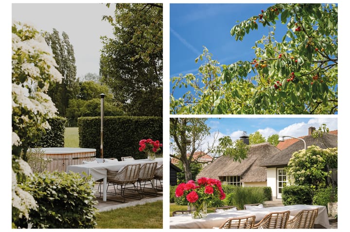 Foto 41 van Molenstraat 15