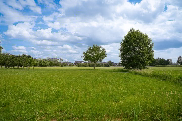 Foto 43 van Molenstraat 15