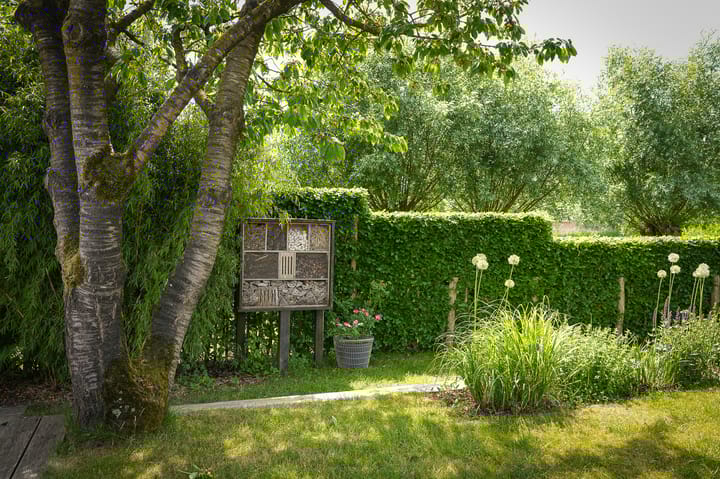 Foto 54 van Molenstraat 15